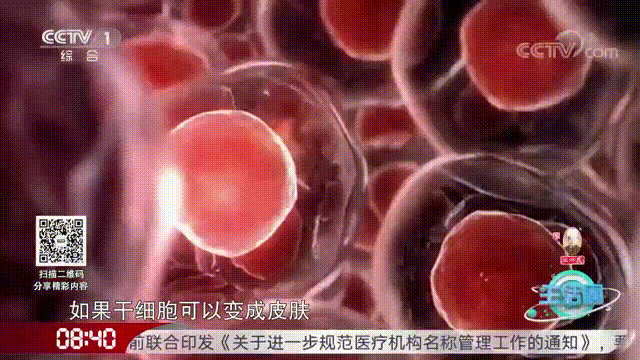 央视CCTV | 院士来科普：干细胞究竟是干什么的？