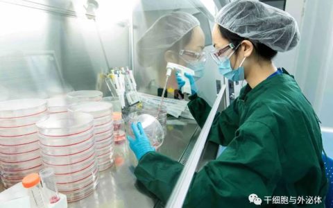 重磅！中国发布全球首个干细胞研究全球标准ISO24603