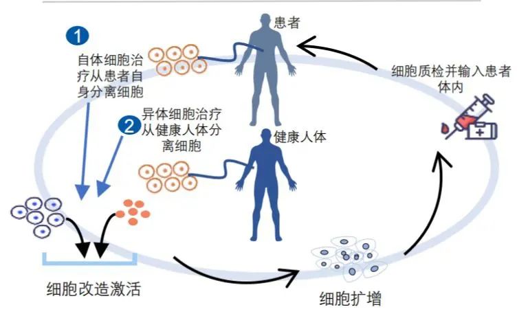 细胞免疫疗法真的要到最后才用吗？看看这些真实的案例研究或许。。。。