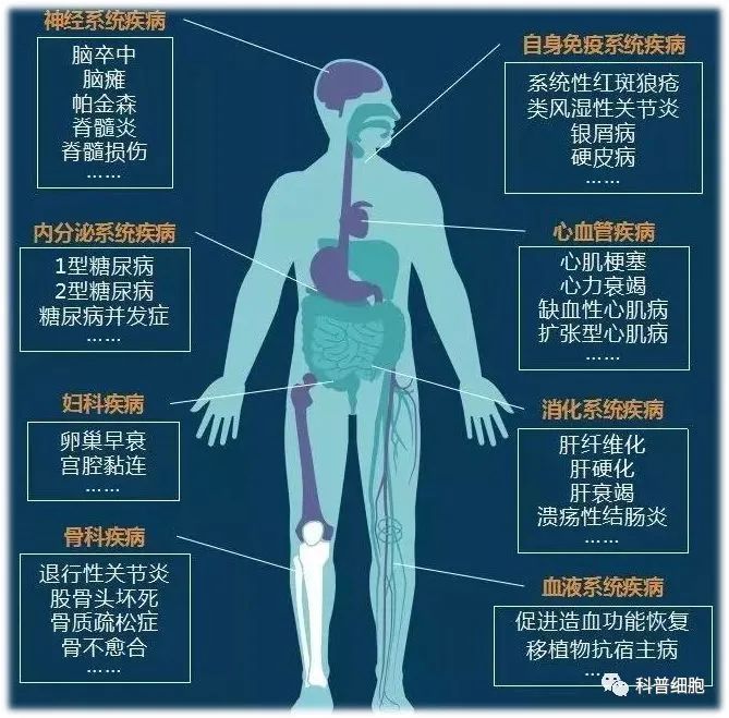 干细胞疗法 | 干预各系统疾病多案例分享