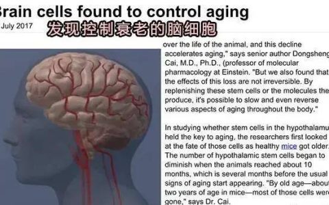 你想活多少岁？研究发现：注射干细胞或延寿10-15%