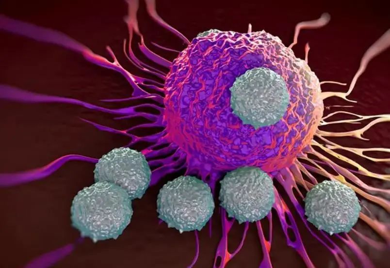 每年180万人因肺癌死亡，NK细胞疗法干预真能有效？
