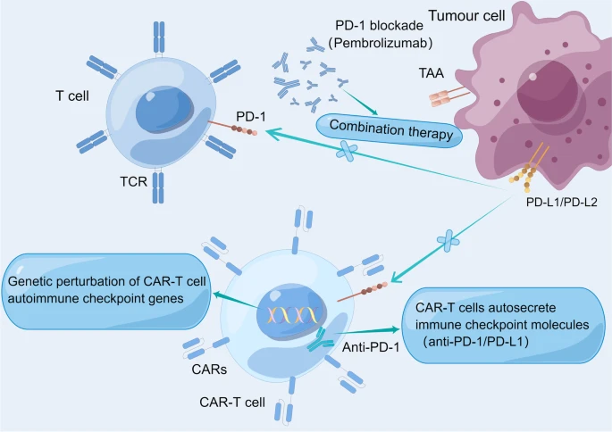 综述细解 | 1+1＞2，携手靶向药、PD-1，CAR-T细胞疗法的提效之旅——CAR-T细胞疗法治疗血液系统恶性肿瘤之旅（三）