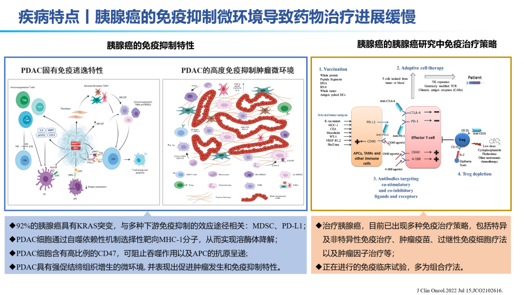 抗PD-1单抗新辅助治疗后胰腺癌肿瘤微环境变化的多组学分析