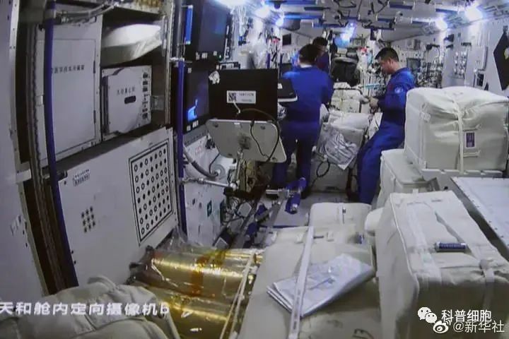 “天舟五号”搭载干细胞顺利升空，中国空间站迎来首个干细胞研究项目！