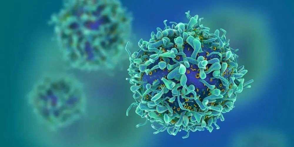 CAR-T之父Carl June点评,北恒生物“通用型”CAR-T细胞疗法1期临床试验安全有效