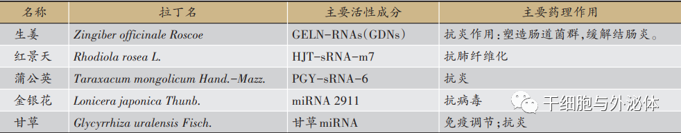 热点前沿 | 外泌体成为中药新的活性成分