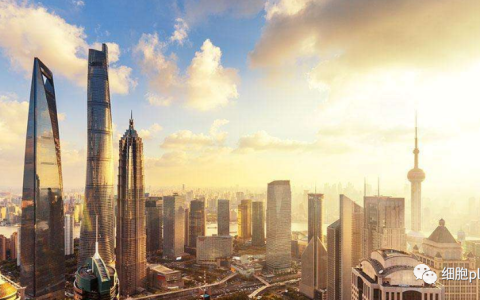 2024年上海市细胞产业要做到100亿，看看上海如何促进细胞治疗科技创新与产业发展