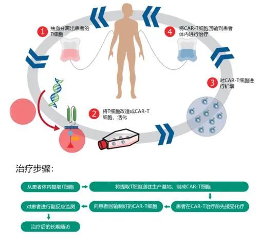 对抗癌症最佳选择！免疫细胞治疗重燃生命之光！