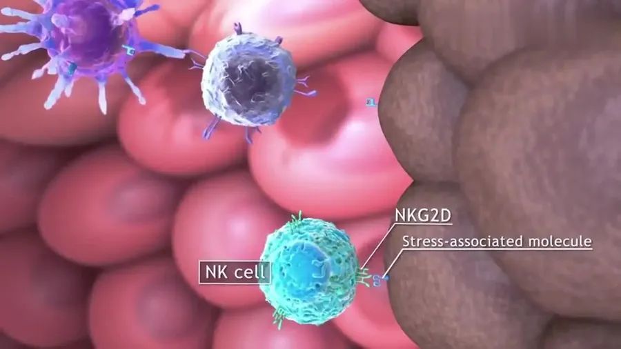 NK细胞疗法，掀起抗癌新革命！