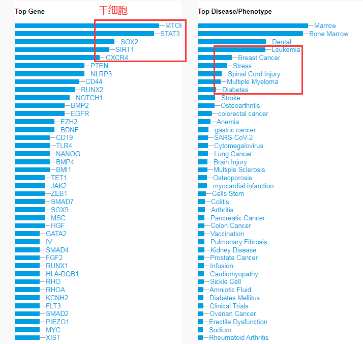 如何看科研上的干细胞热！！！