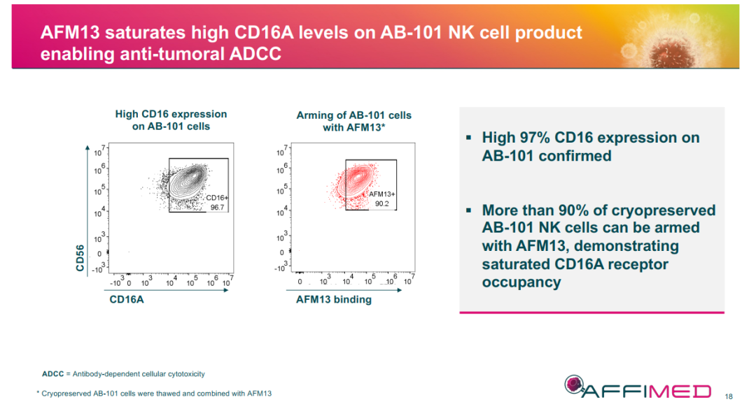 优质的NK细胞是NK细胞疗法的基础，Affimed就此与Artiva展开合作