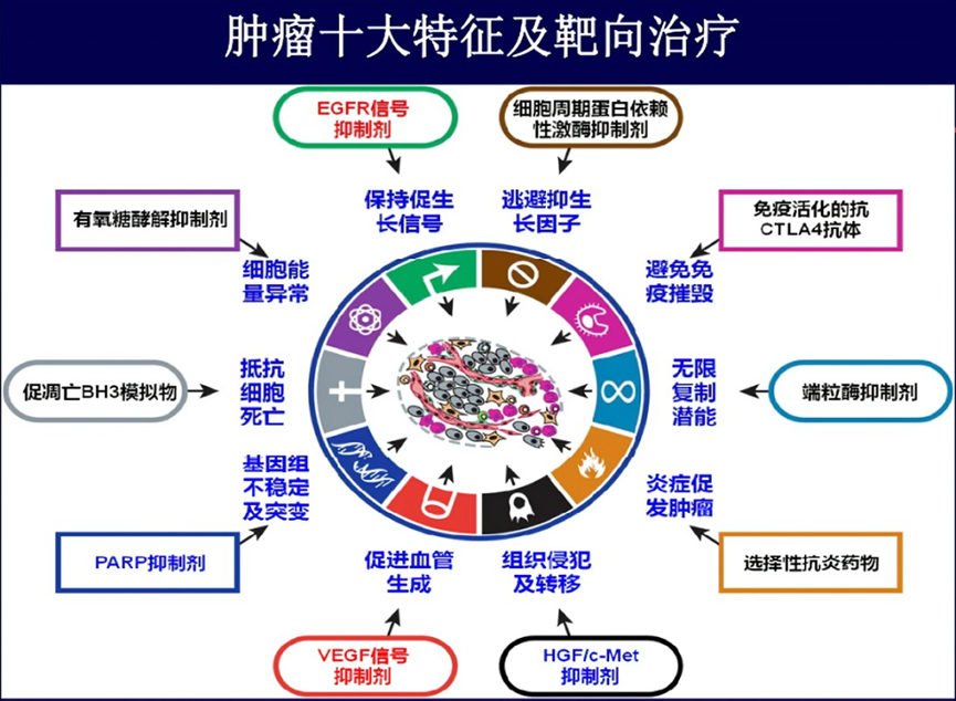 抗肿瘤的分子靶向治疗简史