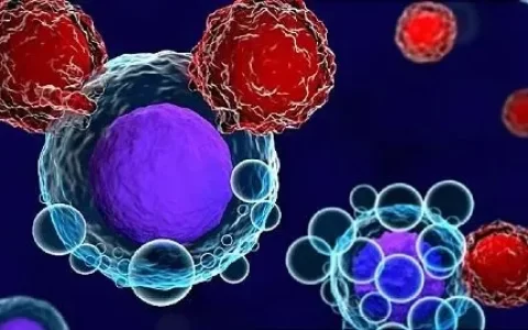 嵌合抗原受体T细胞注射液治疗复发或难治性大B细胞淋巴瘤的临床研究