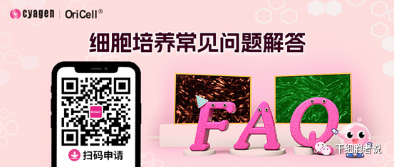 常见问题全整理！实验室如何培养好间充质干细胞