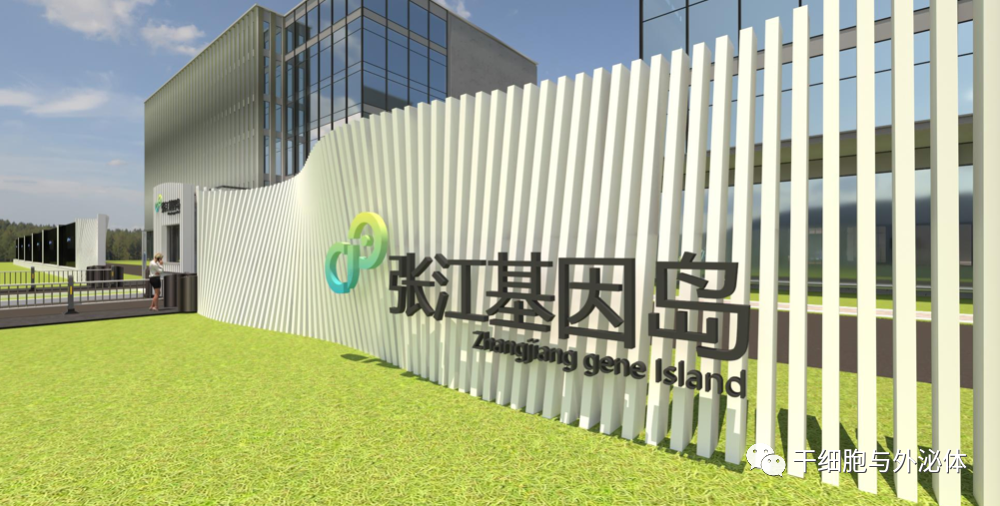 布局细胞治疗“上海模式”，上海要在三年内成为产业核心