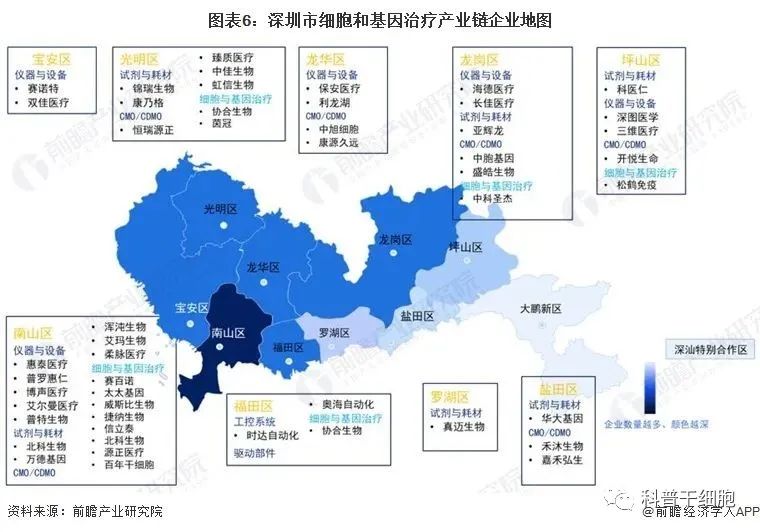 2022年深圳市细胞和基因治疗产业链全景图谱