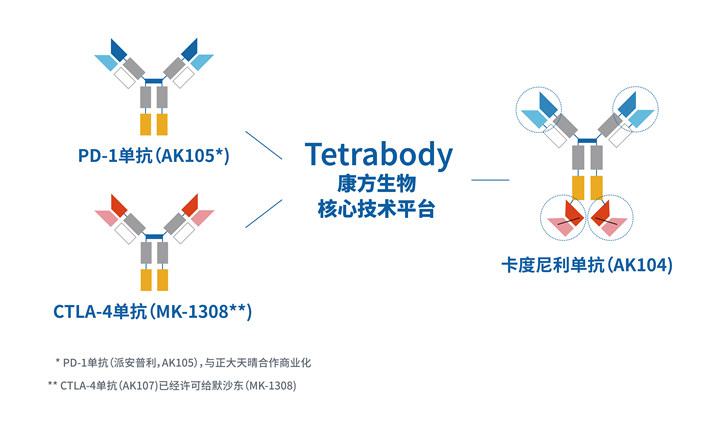 康方生物将科创板二次上市