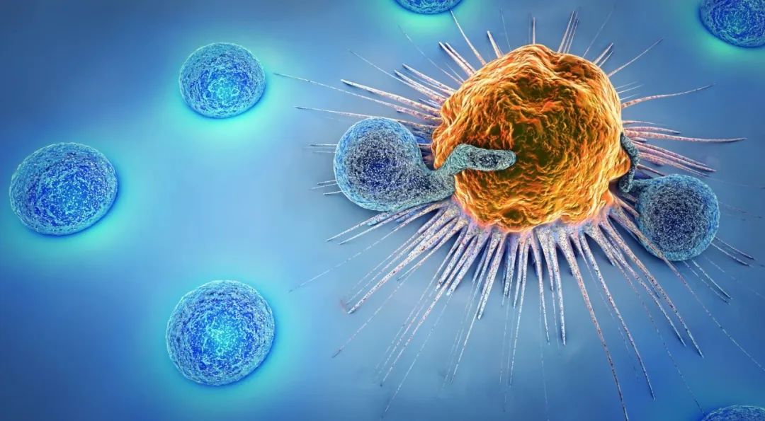 脐带血：CAR-T 细胞的优质来源（肿瘤学前沿最新文章）