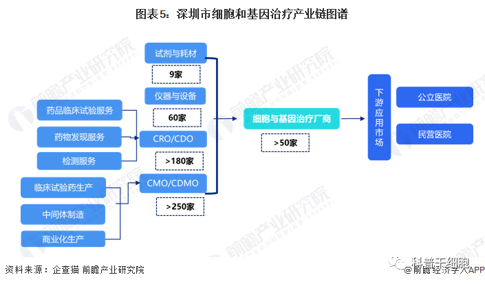 2022年深圳市细胞和基因治疗产业链全景图谱