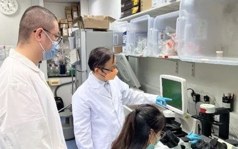 国家资助3000万，澳门首获国家重点研发计划立项，开展间充质干细胞治疗研究