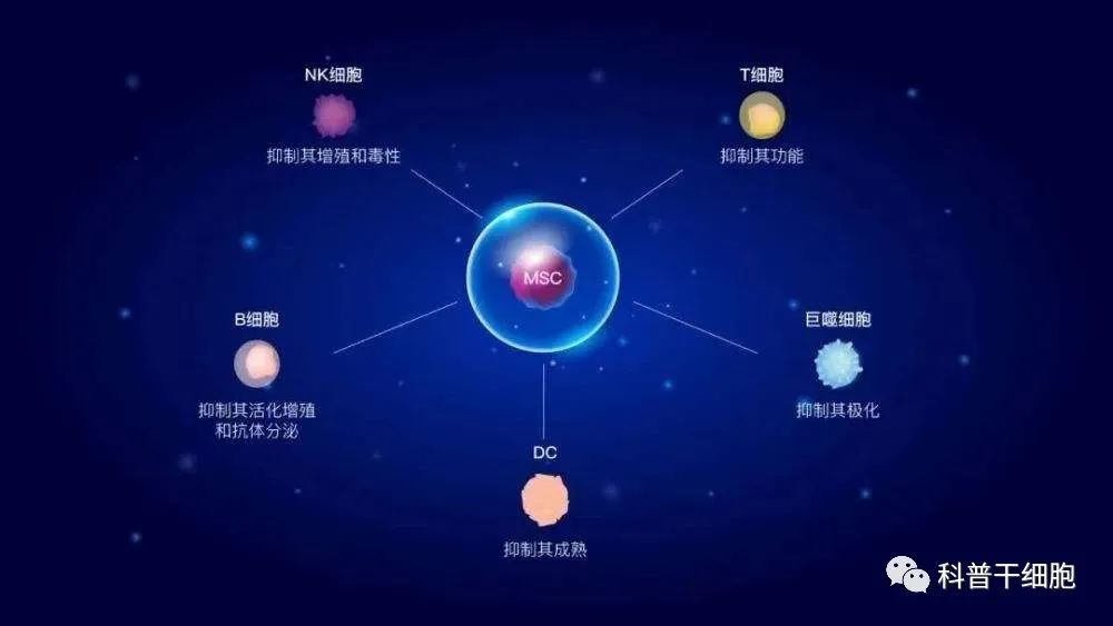 后疫情时代，拼的就是免疫力