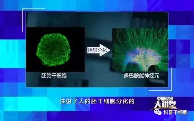 中国科学院院士周琪 ：推动干细胞发展，就是要打造普惠、安全、有效的干细胞疗法