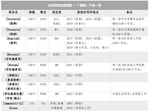 细胞治疗技术与药品综述报告