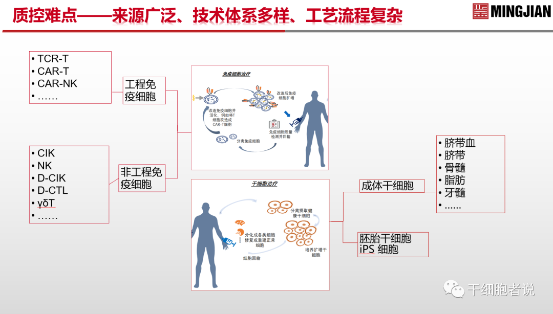 南海论道：从临床视角探讨细胞产品的质控要点