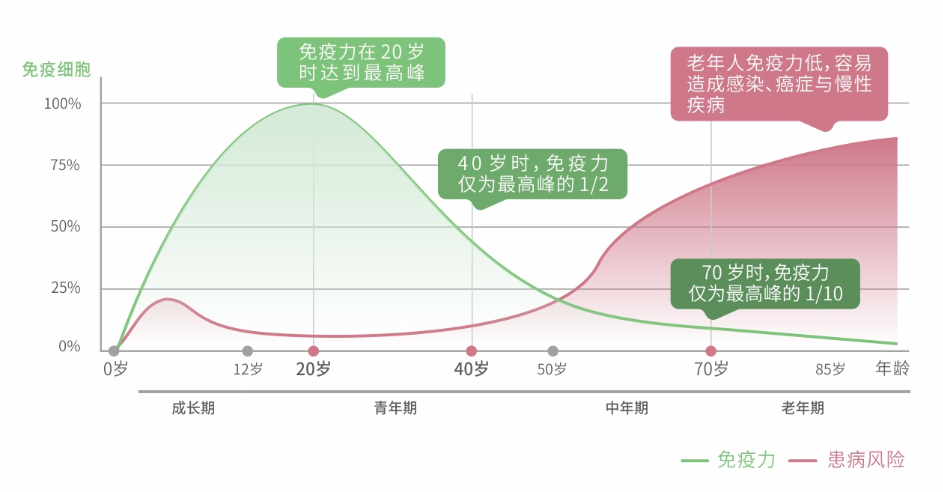 提高免疫细胞活性，恢复人体健康状态！