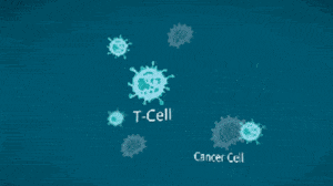 干细胞VS免疫细胞，哪个对付病菌、肿瘤更厉害？一文看懂~