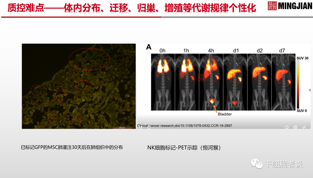 南海论道：从临床视角探讨细胞产品的质控要点