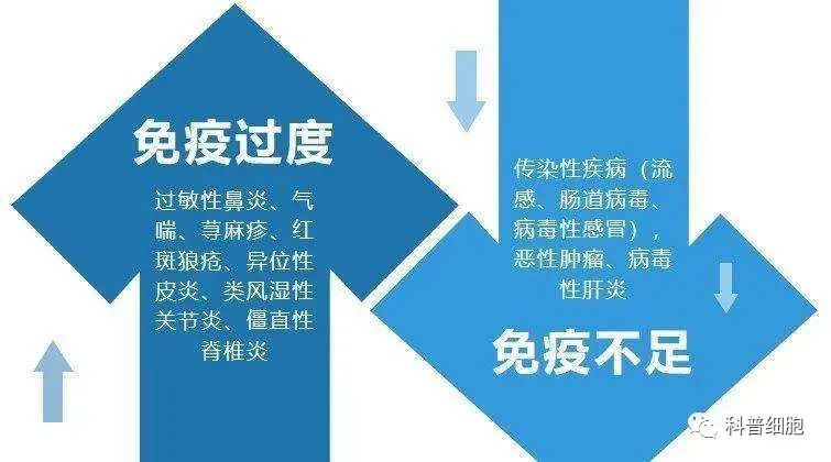 干细胞，是如何帮助我们提高免疫力的？