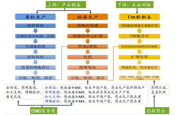 细胞治疗技术与药品综述报告