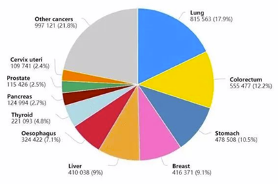 细胞治疗技术与药品综述报告