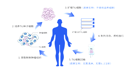 细胞治疗技术与药品综述报告