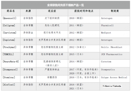 细胞治疗技术与药品综述报告