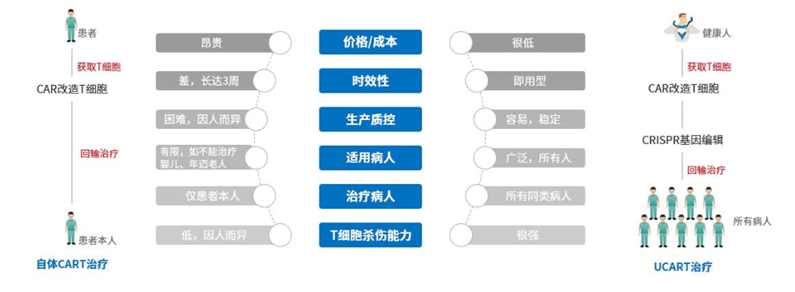 细胞治疗技术与药品综述报告