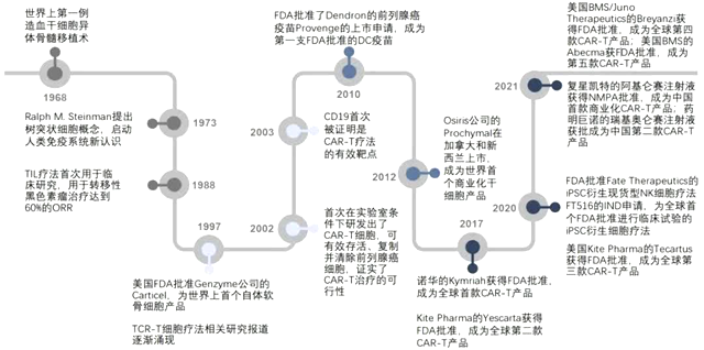 细胞治疗技术与药品综述报告