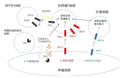 细胞治疗技术与药品综述报告