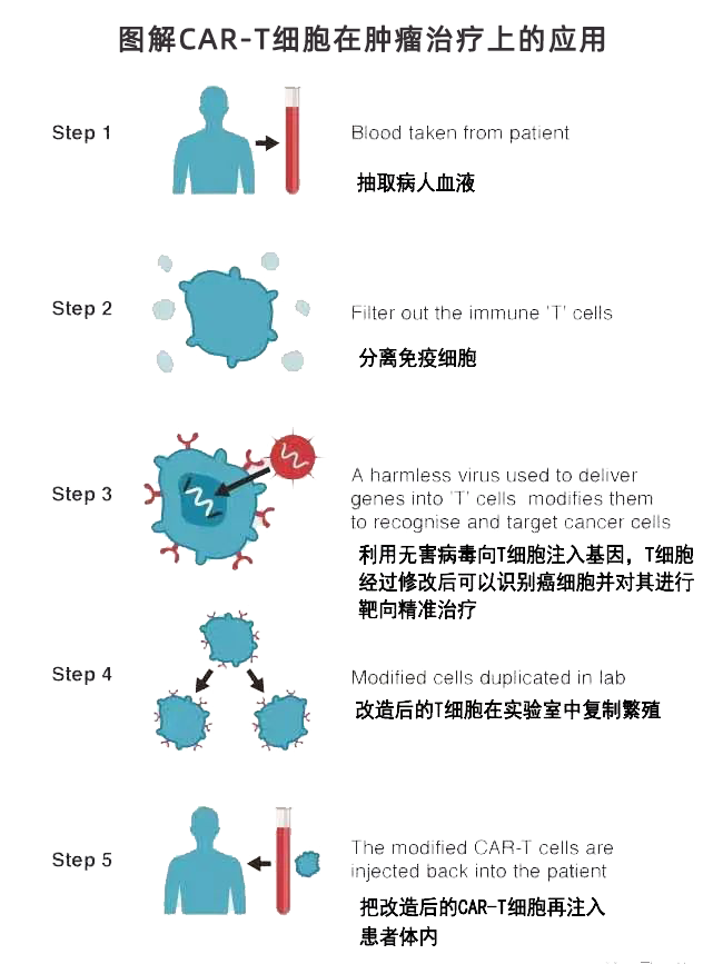 干细胞VS免疫细胞，哪个对付病菌、肿瘤更厉害？一文看懂~