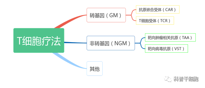 又证实了！细胞治疗具有独特的应用与优势，解析全球细胞治疗现状