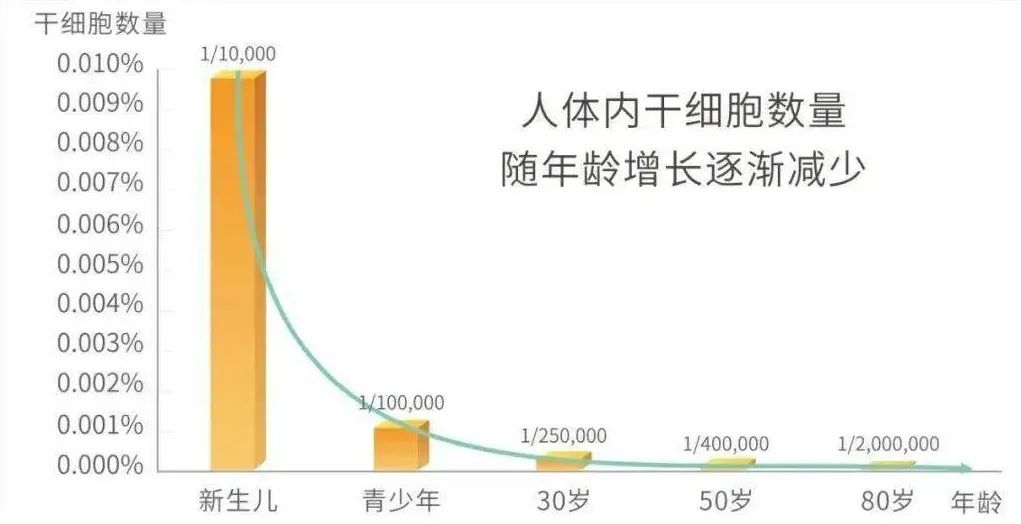 干细胞到底为何物有何用，10个常见的问题，可以一次性回答有关干细胞的全部困惑