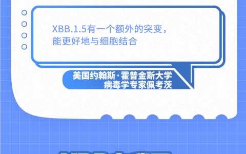 关于XBB毒株，目前已知的关键信息