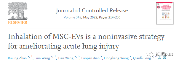 西安交大中心医院研究揭示：间充质干细胞外囊泡治疗肺损伤，吸入比注射的好