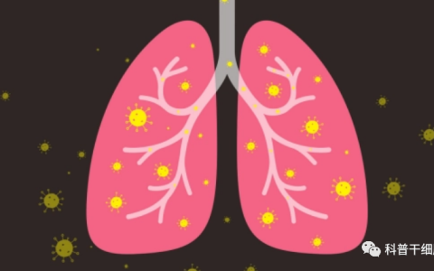 干细胞外泌体雾化能修复“小阳人”肺部损伤，极大减轻症状