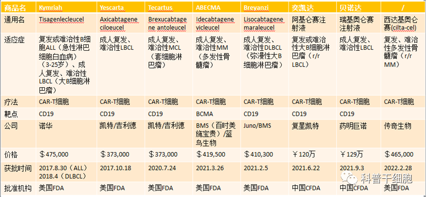 又证实了！细胞治疗具有独特的应用与优势，解析全球细胞治疗现状