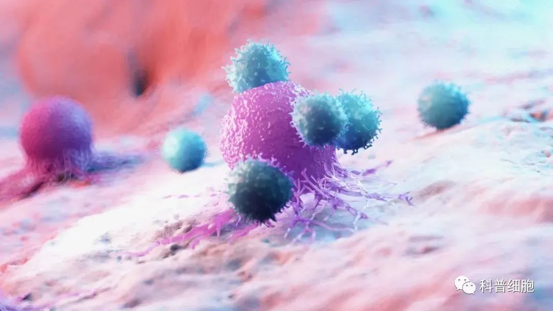 免疫力低下的人更可能“二次感染”，及时修复免疫系统尤为重要!