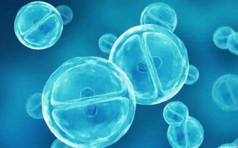 科普 | 几种常见干细胞的制备方法