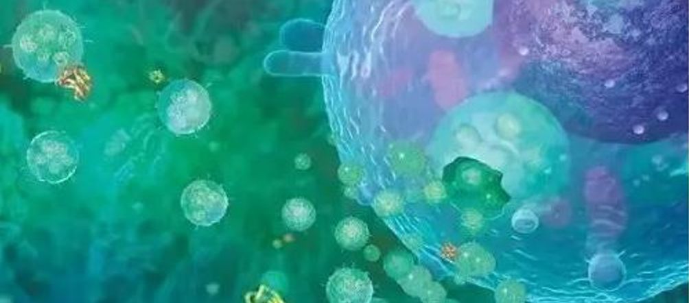 国内首个干细胞药物离我们还有多远？2022年度干细胞药物申报显著增长